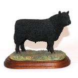 Border Fine Arts 'Galloway Bull', Style One, model No. L33 by Ray Ayres, limited edition 18/850,