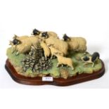 Border Fine Arts 'Gathering In The Strays' (Sheep and Collie), model No. JH28 by Ray Ayres,