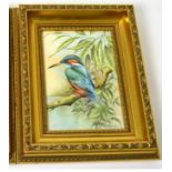 A Royal Worcester plaque painted with a Kingfisher by Brian Cox