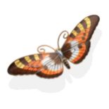 An Enamel Butterfly Brooch, by Magnus Aase, enamelled in realistic tones, measures 2.7cm by 8.5cm