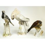 ^ A Meissen Porcelain Figure of a Parrot, early 20th century, outside decorated and naturalistically