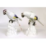 ^ A Pair of Meissen Porcelain Figures of Birds, early 20th century, naturalistically modelled and