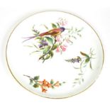 A Royal Worcester Porcelain Plate, 1880, painted with a Bird of Paradise perched on a flowering