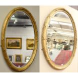 A Pair of Victorian Gilt and Gesso Oval Mirrors, 3rd quarter 19th century, with bevelled glass