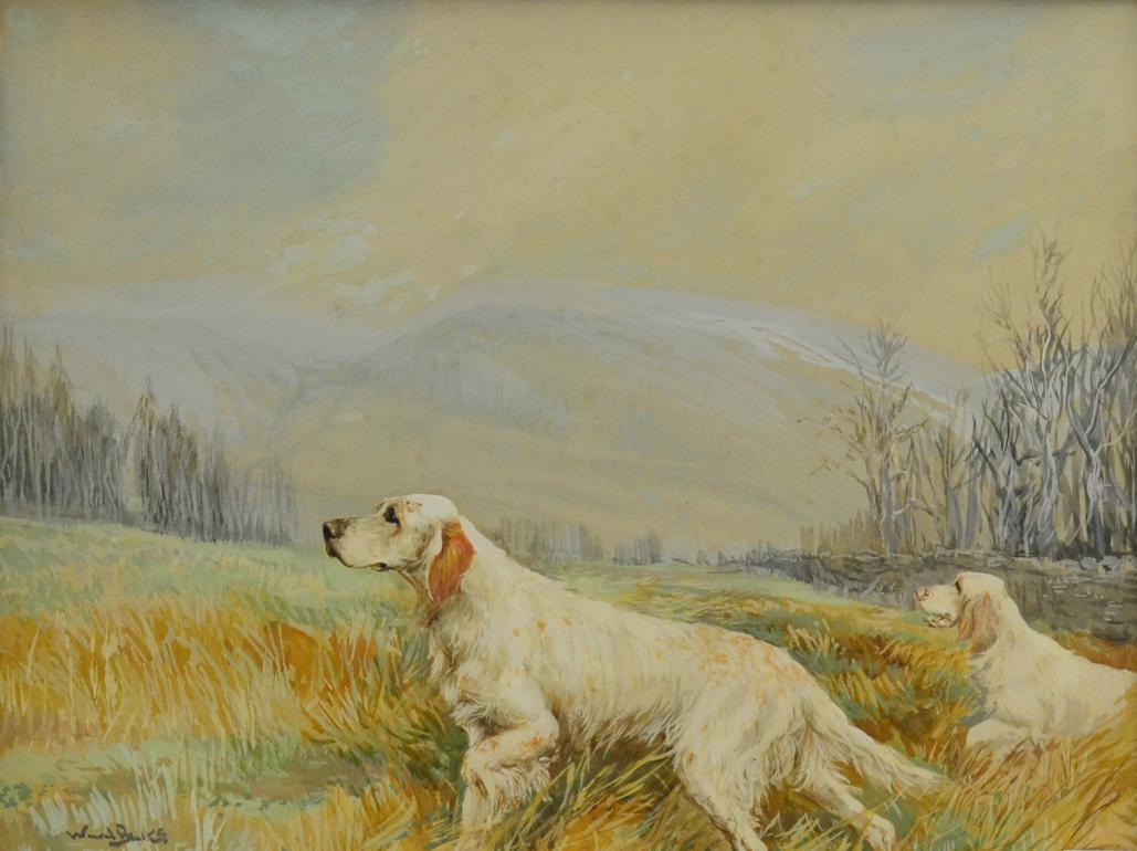 Reuben Ward Binks (1880-1950) Portrait of an Orange Belton Setter in a mountainous landscape