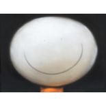 Doug Hyde (b.1972) Smiley Face Signed, pastel, reputedly inscribed and signed to reverse, 74.5cm