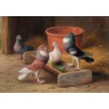 Edgar Hunt (1876-1953) Pigeons at a trough within a stable Signed, oil on canvas, 17cm by 24.5cm See