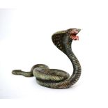 After Franz Bergmann: A Cold Painted Bronze Figure of a Cobra, its hood raised, stamped B in vase