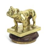 A Brass Car Mascot in the form of a Bulldog, standing on a rectangular base, mounted screw