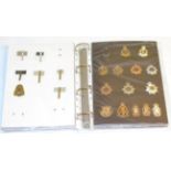 A Collection of Seventy Eight Cap Badges, mainly Corps, in brass, white metal, bi-metal and