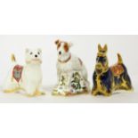 Royal Crown Derby Imari paperweights; West Highland Terrier, Parson Jack Russell Terrier and