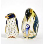 Royal Crown Derby Imari paperweights; Penguin and Chick and Rockhopper Penguin (2) (each with gold
