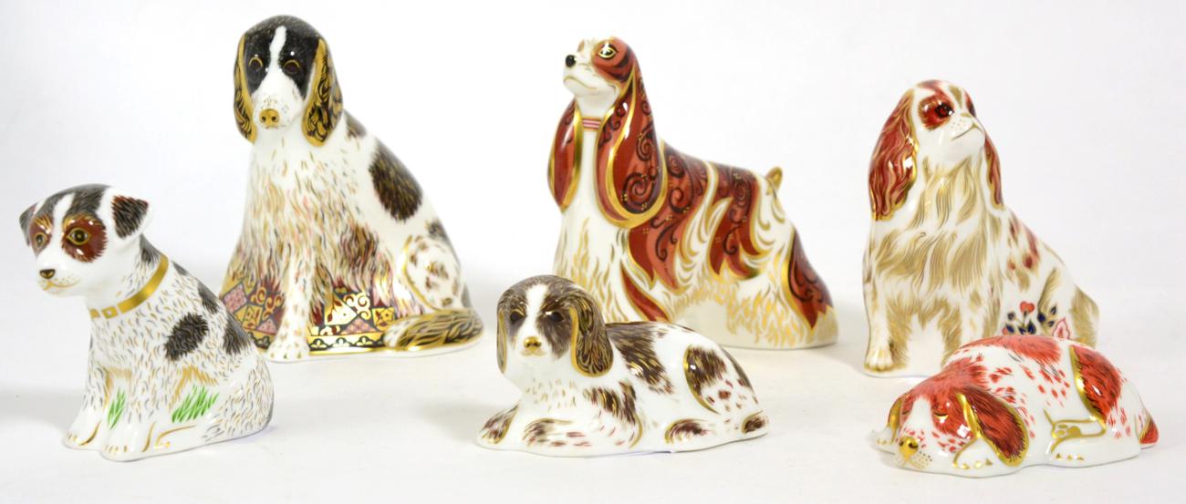 Royal Crown Derby Imari paperweights; Puppy, Scruff, American Spaniel, Molly, Sitting Puppy,