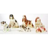 Royal Crown Derby Imari paperweights; Puppy, Scruff, American Spaniel, Molly, Sitting Puppy,