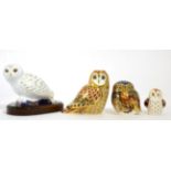 Royal Crown Derby Imari paperweights; Short Eared Owl, Snowy Owl, Owlet and Little Owl (with