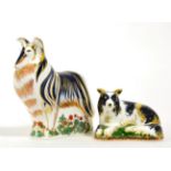 Royal Crown Derby Imari paperweights; Rough Collie and Border Collie No. 563/2500 signed by Jane