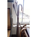 Bundle of seven walking sticks