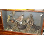 Taxidermy:-Victorian cased display of ten various British birds