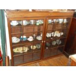 Edwardian mahogany bookcase having two glazed doors