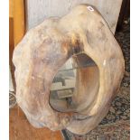 Wall mirror in gnarled wood frame (A/F)