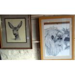 Print of a pencil drawing of a roe deer after Hislop, and a large pencil drawing of an Orang-utan by