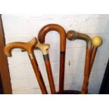 Five various walking sticks including silver-banded stag's horn handle malacca cane