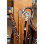 Five various walking sticks