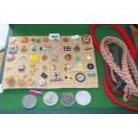 Collection of assorted enamel badges and lanyards etc