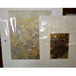Two works on paper by Iobe Parkin titled verso "Volatile Phenomena IV" and "Residue"