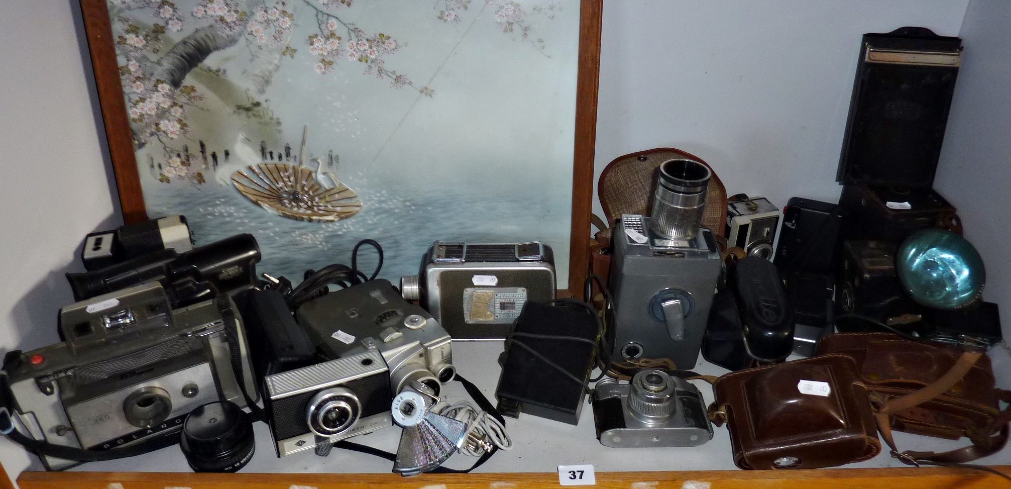 Twenty various old cameras and accessories