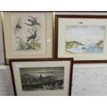 Two watercolours, and a 19th c. colour engraving of humming birds, after George Edwards