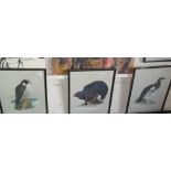 Four prints of birds by David Andrews