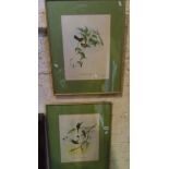 Pair of colour engravings after Gould of humming birds