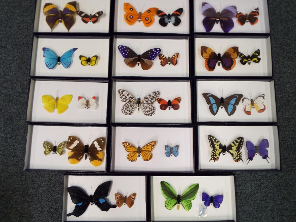 approx 14 Mayfair edition butterflies, boxed.