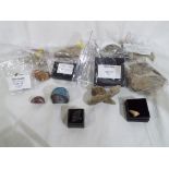 A good lot to include a collection of 14 fossils and geological samples including an amethyst geode,