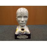 A ceramic phrenology head 35 cm (h) x 18 cm x 20 cm