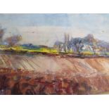 A watercolour by Sylvia Paul depicting a landscape scene, mounted and framed under glass,