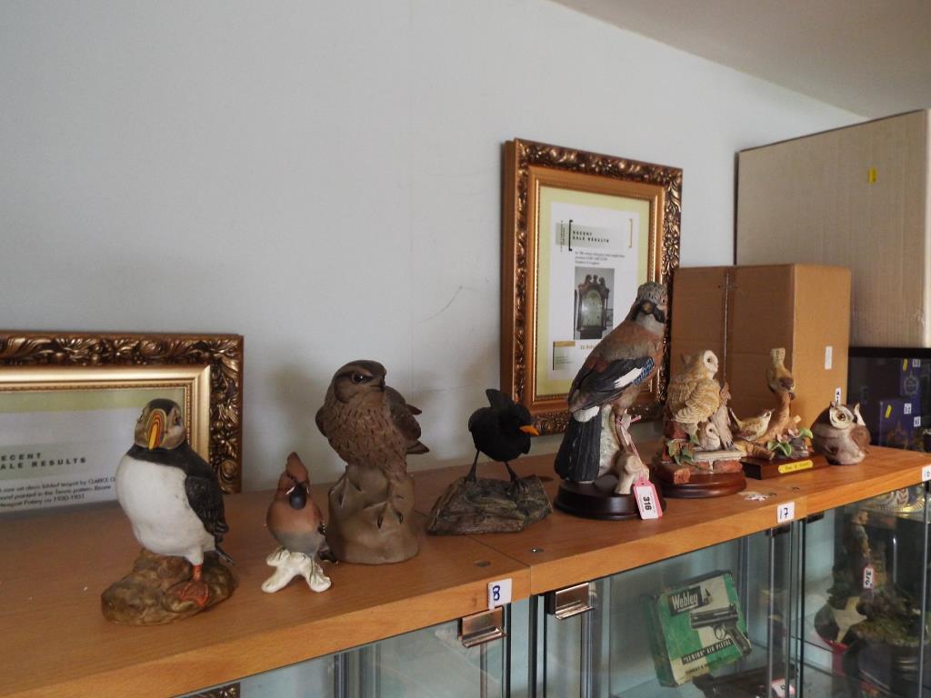 A collection of 8 figurines depicting birds to include, a Border Fine Arts, Shudehill, Goebel, - Image 2 of 2