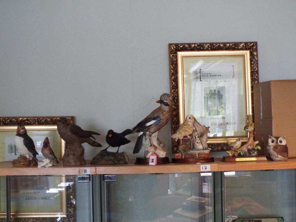 A collection of 8 figurines depicting birds to include, a Border Fine Arts, Shudehill, Goebel,