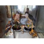 2 good quality large figurines by Country Artist depicting kestrels, both sat on wooden plinths.