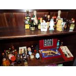 A collection of spirits miniatures from around the world,