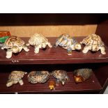 Wade - a small collection of trinket boxes, Crab, Hedgehog, Tortoises,