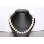 Cultured pearl necklace with silver magnetic clasp