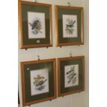 Set of four bird paintings