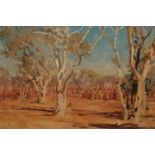 MAXWELL RICHARD CHRISTOPHER RAGLESS (AUSTRALIAN, 1901-1981), GUM TREES, signed lower left,