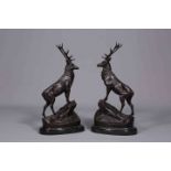 A LARGE PAIR OF BRONZE STAGS, each cast standing on a rocky outcrop. 73.