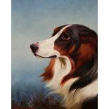 COLIN GRAEME ROE (1855-1910), COLLIE DOG, signed lower left, oil on canvas, framed.