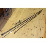 Three spears and fencing foil
