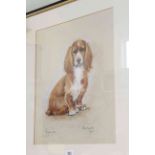 Marjorie Cox, Portrait of a King Charles Spaniel, signed, inscribed Sugar and dated 1975, pastel,