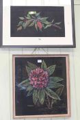 Patricia Rhodes, two flower studies, pastels, in glazed frames,